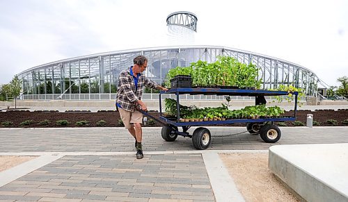 RUTH BONNEVILLE / WINNIPEG FREE PRESS 

ENT - Assiniboine Park gardens

Outdoor garden supervisor Craig Gillespie, moves a large wagon full of garden vegetables that are being planted in the Kitchen Garden Orchard Wednesday. 


Subjects: Gardeners planting at Assiniboine Park

Story: Right after the May long weekend, a swarm of seasonal gardeners descend upon Assiniboine Park. Their mission? To get the place blooming beautiful again after a long, cold, barren winter. From planting new annuals, to checking on the perennials to creating new floral displays, this is back-breaking work.

Greenhouse lead gardener Kerry Witherspoon who has been tending to the plants all through winter, outdoor garden supervisor Craig Gillespie, whose job it is to transform the gardens and new kitchen Garden Orchard that offers fresh veggies and herbs to the Gather restaurant at the Leaf with extras sent to Winnipeg Harvest.  

AV Kitching story. 

May 24th, 2023