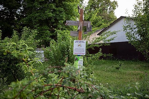 JESSICA LEE / WINNIPEG FREE PRESS

The Euclid Food Forest in Point Douglas is photographed on June 1, 2023.

Reporter: Tessa