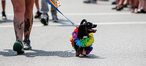 JOHN WOODS / WINNIPEG FREE PRESS
People attend the Pride Parade in Winnipeg Sunday, June 4, 2023. 

Re: pindera