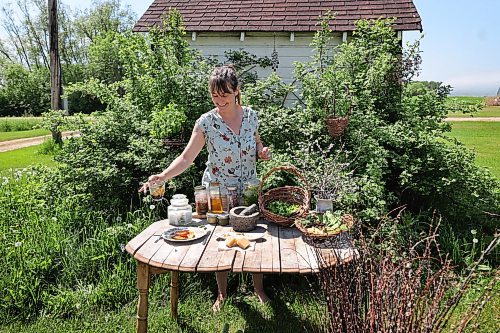 RUTH BONNEVILLE / WINNIPEG FREE PRESS 

ENT - foraging

Wendy Pearce showcases her rustic table full of foraged plants and items she has made from them:

From left: Spruce tips in brown sugar syrup for her pine pollen pancake, Jar of spruce tips in white sugar,spruce tips in brown sugar, balsam poplar in sunflower oil, wild balm stems, cold infusion dandelion petals with cleaver, nettles, ground ivy and plantain, plantain, basket of cleavers,  pussy willows, basket #2 of yarrow, plantain, horse tail and nanny berry flowers, pine resin raw, spruce resin, pine resin refined (oval plate), pine resin soap from lard, lye and pine resin, 


Story: Wendy Pearce has been foraging in the Interlake area for more than 10 years. During the warmer months she lives off the land as much as she can, gathering fruit, vegetables and berries to sustain her and her family. Pearce is currently working on her book, a chronological foraging guide for southern Manitoba, where she shares her foraging techniques as well as how to make full use of what you have forage. For Pearce, being a forager is about fostering community, not competition.

AV Kitching

June 6th,  2023