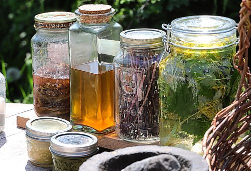 RUTH BONNEVILLE / WINNIPEG FREE PRESS 

ENT - foraging

Table full of foraged plants and items she has made from them:

From left: spruce tips in brown sugar, balsam poplar in sunflower oil, wild balm stems, cold infusion dandelion petals with cleaver, nettles, ground ivy and plantain, plantain.

Story: Wendy Pearce has been foraging in the Interlake area for more than 10 years. During the warmer months she lives off the land as much as she can, gathering fruit, vegetables and berries to sustain her and her family. Pearce is currently working on her book, a chronological foraging guide for southern Manitoba, where she shares her foraging techniques as well as how to make full use of what you have forage. For Pearce, being a forager is about fostering community, not competition.

AV Kitching

June 6th,  2023