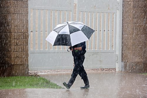 A pedestrian walks through pouring rain during a brief shower on Tuesday afternoon. (Tim Smith/The Brandon Sun)