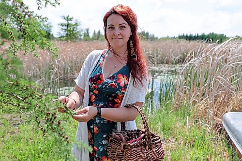 RUTH BONNEVILLE / WINNIPEG FREE PRESS 

ENT - foraging

Tamarack cones and branches

Photos of  Erica Lindell as she forages a small fraction of the abundance of edible and medicinal plants around her homestead and surrounding swamp Lands northeast of Winnipeg. 
?Story: Part of a wider foraging story. Erica is a Metis woman who has lived off the land since she was 4yo. She runs foraging classes for adults as well as children, focusing on ID plants, edibility and medicinal qualities of plants. She and her family live off the land, awith as much as 70% of the food they consume coming from her garden or foraged from the wild.
 
AV Kitching

June 6th,  2023