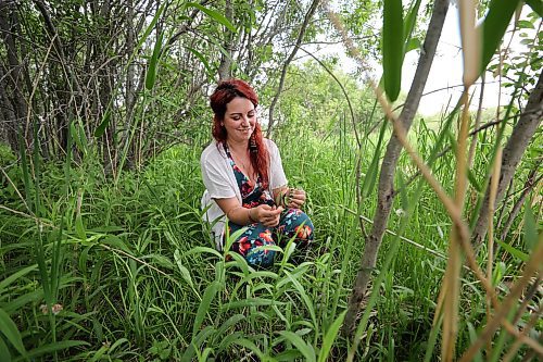 RUTH BONNEVILLE / WINNIPEG FREE PRESS 

ENT - foraging

Edible swamp mint. 

Photos of  Erica Lindell as she forages a small fraction of the abundance of edible and medicinal plants around her homestead and surrounding swamp Lands northeast of Winnipeg. 
&#x2028;Story: Part of a wider foraging story. Erica is a Metis woman who has lived off the land since she was 4yo. She runs foraging classes for adults as well as children, focusing on ID plants, edibility and medicinal qualities of plants. She and her family live off the land, awith as much as 70% of the food they consume coming from her garden or foraged from the wild.
 
AV Kitching

June 6th,  2023