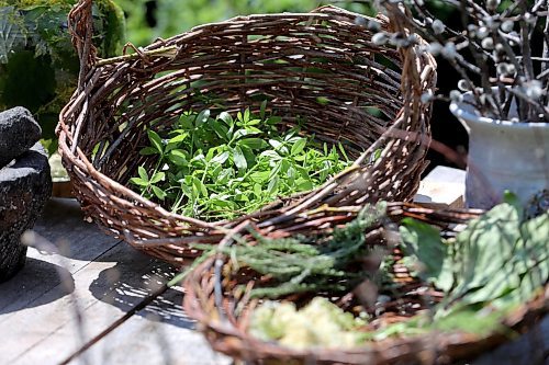 RUTH BONNEVILLE / WINNIPEG FREE PRESS 

ENT - foraging

Basket of cleavers.

Story: Wendy Pearce has been foraging in the Interlake area for more than 10 years. During the warmer months she lives off the land as much as she can, gathering fruit, vegetables and berries to sustain her and her family. Pearce is currently working on her book, a chronological foraging guide for southern Manitoba, where she shares her foraging techniques as well as how to make full use of what you have forage. For Pearce, being a forager is about fostering community, not competition.

AV Kitching

June 6th,  2023