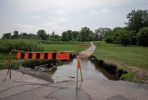 JESSICA LEE / WINNIPEG FREE PRESS

A pedestrian walks on the grass to avoid a large hole in the ground at Amarynth Crescent Park June 7, 2023.

Reporter: Joyanne Pursaga