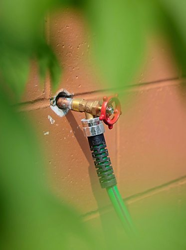Mike Thiessen / Winnipeg Free Press   
Water spigot at Orioles Community Garden in Winnipeg&#x2019;s West End. Orioles Community Garden is one of few gardens in the city with on-site water access.   230607 &#x2013; June 7, 2023