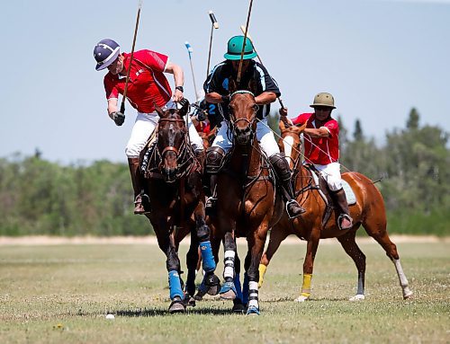 JOHN WOODS / WINNIPEG FREE PRESS
Bruce King, left, and Isaias Palma Franco, from Mexico who works for Rocking S, play polo at Springfield Polo Club in Birds Hill Park, Sunday, May 28, 2023. 

Reporter: sanderson