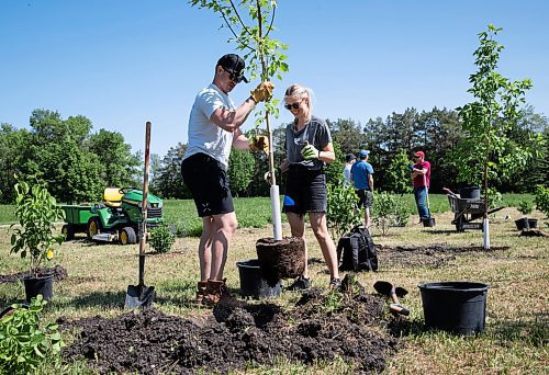 JESSICA LEE / WINNIPEG FREE PRESS

Emily (right) and Tim plant a tree June 10, 2023 at Henteleff Park during a community tree planting day. Around 30 volunteers showed up and planted 100 trees and shrubs.

Stand up