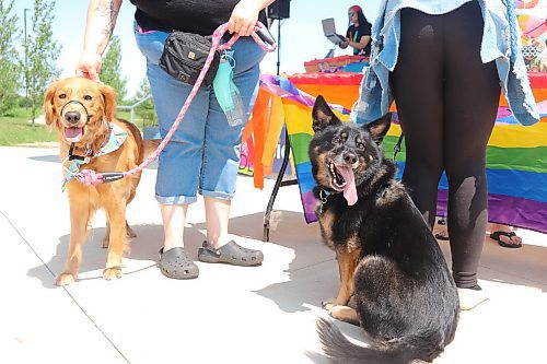 Local dog owners visit the Fusion Credit Union stage on Sunday afternoon to help kick start Brandon Pride Week festivities. (Kyle Darbyson/The Brandon Sun)