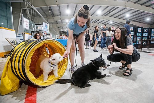 JOHN WOODS / WINNIPEG FREE PRESS
Kaitlyn Rasetti, centre, Paisley and Nikki Sherwin, owner of Woofs 'n Wags, a dog daycare canine education centre and spa, watche as Milo exits an agility tunnel during the Manitoba Pet Expo at St Norbert community centre in Winnipeg, Sunday, June 11, 2023. 

Re: ?