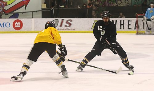 Brandon Wheat Kings prospect Maddox Gandha (12) of Trail, B.C., spent last season playing with the Rink Hockey Academy Kelowna&#x2019;s under-15 prep team with another Wheat Kings hopeful, defenceman Giorgos Pantelas. (Perry Bergson/The Brandon Sun)