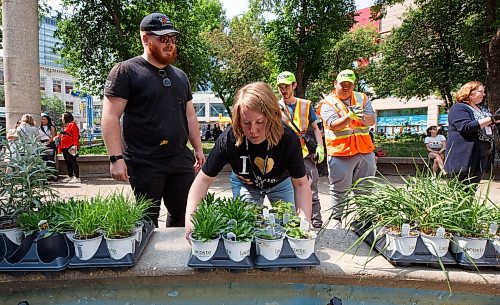 Mike Deal / Winnipeg Free Press
Jori Pincock, Manager of the Public Realm with Downtown Winnipeg BIZ, hands over plants to volunteers.
A noon-hour event held by the Downtown Winnipeg BIZ included a reveal of the concept plan and design intent for the future of the Air Canada Window Park on the corner of Carlton and Portage as well as the annual planting and celebration by volunteers and the Downtown Winnipeg BIZ Streetscape Team.
230612 - Monday, June 12, 2023.