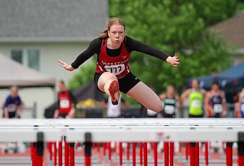 Maria Gundrum of Prairie Mountain competes in the varsity girls' hurdles at high school track and field provincials on Friday. (Thomas Friesen/The Brandon Sun)