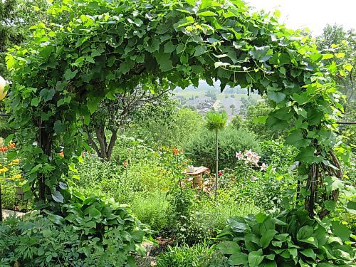 Colleen Zacharias / Winnipeg Free Press
Take in the breathtaking beauty of Brandon's gardens by attending the City of Brandon Open Garden Tours, July 22 and 23.
