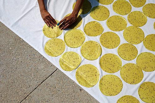 13062023
Deval Patel sets out Papdi, a crispy savoury cracker made with flour, to dry outside her home in Brandon&#x2019;s south end on Tuesday. Patel and other family members, originally from Gujarat, India, use 15 - 20 lbs of flour to make enough Papdi each summer for use throughout the year. 
(Tim Smith/The Brandon Sun)
