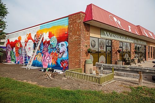 Mike Deal / Winnipeg Free Press
Rachel Lancaster works on a mural on the side of WinRose Animal Hospital on St. Anne's at Bishop Grandin Boulevard, Monday morning.
Rachel Lancaster, a mural artist who, for about 10 years now, has been transforming bedroom walls, garage doors and sides of businesses into works of art. No project is too big or too small - and what she comes up with is up to the imagination of those hiring her to do their bidding.
230619 - Monday, June 19, 2023.
