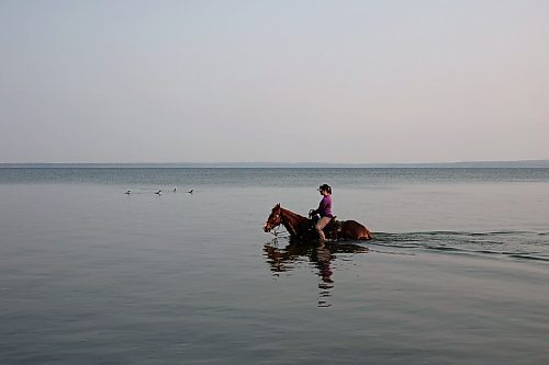 15062023
Molly Kelleher, manager of Elkhorn Riding Adventures, swims with her quarter horse Ice in Clear Lake in Riding Mountain National Park on an early morning last week. Ice, a sixteen-year-old barrel racing horse, tore a tendon in his front right leg last summer and has been rehabilitating for the past year. According to Kelleher, swimming has played an important part in Ice&#x2019;s rehab which has also included stem cell therapy and shockwave therapy. 
(Tim Smith/The Brandon Sun)