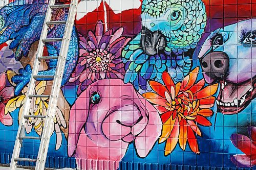 Mike Deal / Winnipeg Free Press
Rachel Lancaster works on a mural on the side of WinRose Animal Hospital on St. Anne's at Bishop Grandin Boulevard, Monday morning.
Rachel Lancaster, a mural artist who, for about 10 years now, has been transforming bedroom walls, garage doors and sides of businesses into works of art. No project is too big or too small - and what she comes up with is up to the imagination of those hiring her to do their bidding.
230619 - Monday, June 19, 2023.