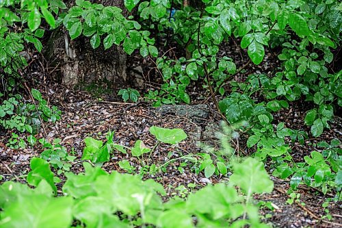 MIKAELA MACKENZIE / WINNIPEG FREE PRESS


A capped entrance to underground tunnels in Elma, Manitoba on Thursday, June 22, 2023.  For Eva Wasney story.
Winnipeg Free Press 2023