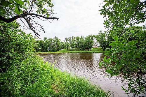 MIKAELA MACKENZIE / WINNIPEG FREE PRESS


The Whitemouth River where it runs through Elma, Manitoba on Thursday, June 22, 2023.  For Eva Wasney story.
Winnipeg Free Press 2023