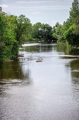 MIKAELA MACKENZIE / WINNIPEG FREE PRESS


The Whitemouth River where it runs through Elma, Manitoba on Thursday, June 22, 2023.  For Eva Wasney story.
Winnipeg Free Press 2023