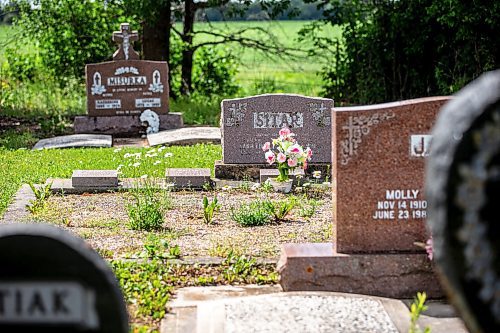 MIKAELA MACKENZIE / WINNIPEG FREE PRESS


The graves of the Sitar family, victims of a brutal axe murderer in the 1930s, at Stony Hill Cemetery near Elma, Manitoba on Thursday, June 22, 2023.  For Eva Wasney story.
Winnipeg Free Press 2023