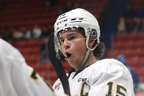 Nolan Ritchie, shown celebrating a goal with the Brandon Wheat Kings last season, is heading to Italy for his first full year of professional hockey, and he's taking his close friend Calder Anderson with him. (Perry Bergson/The Brandon Sun) 