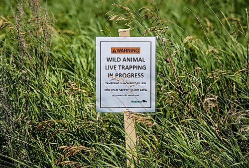 Signs have been posted near the location of a second coyote attack in North Kildonan, Winnipeg. (John Woods/Winnipeg Free Press)