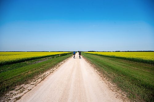 MIKAELA MACKENZIE / WINNIPEG FREE PRESS

Cyclists ride through canola fields on the Headingley Grand Trunk Trail west of Winnipeg on Tuesday, July 4, 2023. Standup.
Winnipeg Free Press 2023.
