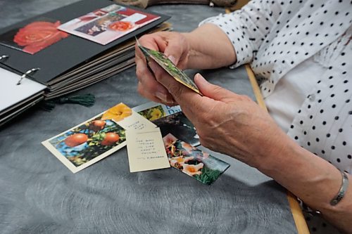 Local artist Elaine Rounds looks through a stationary book she made of mail art she sent to her friend through the years. (Miranda Leybourne/The Brandon Sun)