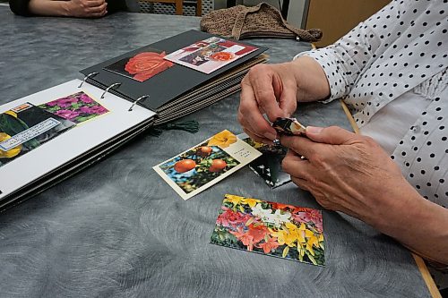 Local artist Elaine Rounds looks through a stationary book she made of mail art she sent to her friend through the years. (Miranda Leybourne/The Brandon Sun)