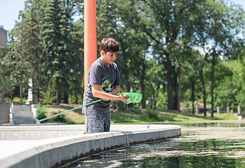 Mike Thiessen / Winnipeg Free Press 
Gaberiel Munsters, while on the hunt for a frog at the Kildonan Park pond, catches his second tadpole of the afternoon.. Gaberiel frequents the park with his net and bucket, and has caught eight turtles this year. 230706 &#x2013; Wednesday, July 6, 2023