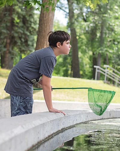 Mike Thiessen / Winnipeg Free Press 
Gaberiel Munsters hunting for a frog at the Kildonan Park pond. Gaberiel frequents the park with his net and bucket, and has caught eight turtles this year. 230706 &#x2013; Wednesday, July 6, 2023