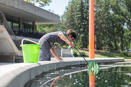 Mike Thiessen / Winnipeg Free Press 
Gaberiel Munsters hunting for a frog at the Kildonan Park pond. Gaberiel frequents the park with his net and bucket, and has caught eight turtles this year. 230706 &#x2013; Wednesday, July 6, 2023