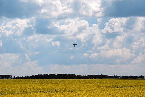 07072023
John Lepp with Rivers Air Spray turns while making laps to apply fungicide to a canola crop north of Rivers with his Air Tractor AT-802F during a busy day of aerial spraying on Friday. 
(Tim Smith/The Brandon Sun)