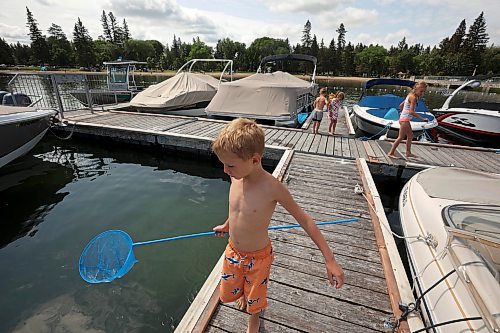 12072023
Axel Doerksen scans the water for creatures to catch while dipnetting with family at the Clear Lake Marina on Wednesday.  (Tim Smith/The Brandon Sun)