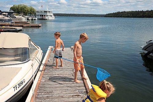 12072023
Gibson Doerksen, Axel Doerksen and Avaya Hyatt try to catch minnows and other lake creatures while dipnetting at the Clear Lake Marina on Wednesday.  (Tim Smith/The Brandon Sun)