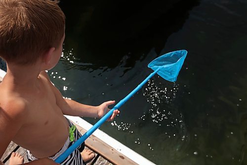 12072023
Gibson Doerksen looks for minnows while dipnetting with family at the Clear Lake Marina on Wednesday.  (Tim Smith/The Brandon Sun)