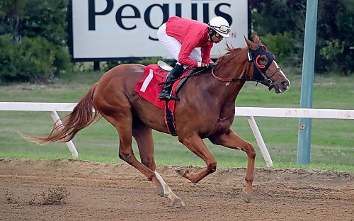 Date: July 12, 2023
Private Frank wins the Frank Aranson Sire Stakes on Wednesday, July 12, 2023, at Assiniboia Downs with Ronald Ali up.
Jason Halstead / Winnipeg Free Press