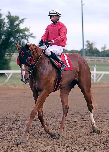Date: July 12, 2023
Private Frank returns with jockey Ronald Ali after winning the Frank Aranson Sire Stakes on Wednesday, July 12, 2023, at Assiniboia Downs.
Jason Halstead / Winnipeg Free Press