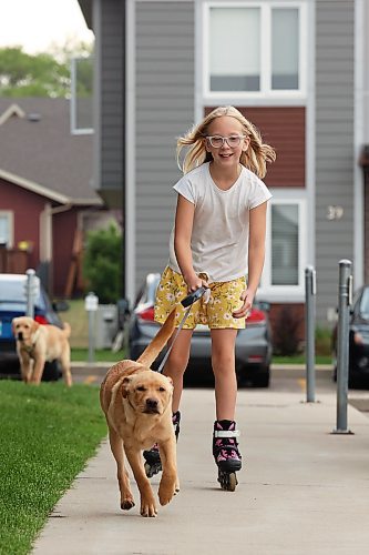 Brielle Chabluk, 9, inline skates with one of her family’s puppies, Boo, while Boo’s sibling Sully trails behind on Tuesday. The two four-month-old golden retriever, black lab, border collie crosses are named after characters from the movie "Monsters Inc." (Tim Smith/The Brandon Sun)