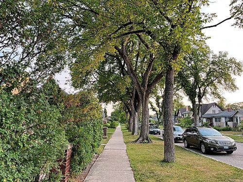Russell Wangersky / Winnipeg Free Press

A new story unfolds with every step in a new town.
- a tree-lined street in Wolseley
