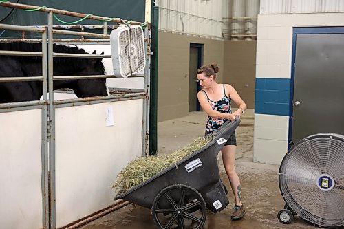 19072023
Jodi McCracken with Riverside Clydesdales feeds the clydesdales at their stalls during the 2023 World Clydesdale Show at the Keystone Centre in Brandon on Wednesday.
(Tim Smith/The Brandon Sun)