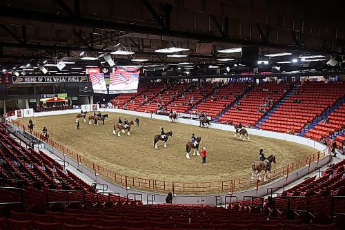 19072023
Heavy horses are shown in the ring during the 2023 World Clydesdale Show at the Keystone Centre in Brandon on Wednesday.
(Tim Smith/The Brandon Sun)