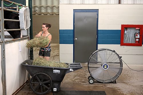 19072023
Mike Hill with Wildwood Clydesdales washes one of his horses during the 2023 World Clydesdale Show at the Keystone Centre in Brandon on Wednesday.
(Tim Smith/The Brandon Sun)