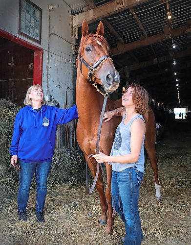 RUTH BONNEVILLE / WINNIPEG FREE PRESS

Sports - Horse Racing, Stakes winner
 
Stakes winner, Magic Tiger with trainer Wendy Anderson and assistant trainer Jaydean Lamothe (also trainer's daughter), inside the barn at Assiniboine Downs Friday.  

George Williams story 

July 21st,  2023
