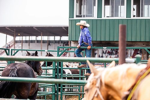 MIKAELA MACKENZIE / WINNIPEG FREE PRESS

Jayden Vold, 12, helps sort the saddle bronc and bareback horses into their chutes before the redeo at the Manitoba Stampede in Morris on Saturday, July 22, 2023. For Tyler story.
Winnipeg Free Press 2023