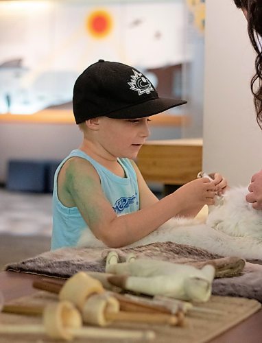Mike Thiessen / Winnipeg Free Press 
Remi Freeman touches the pelt of an Arctic fox at the Manitoba Museum’s “Awesome Arctic Adventure” activity. The museum has daily programming such as this throughout July and August. 230724 – Monday, July 24, 2023
