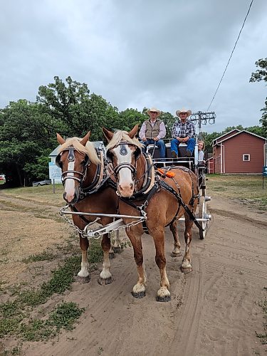 Jim Scott and Alex Christison pull a horse-drawn wagon at the Threshermen's Reunion & Stampede in Austin, Man. (Miranda Leybourne/The Brandon Sun)